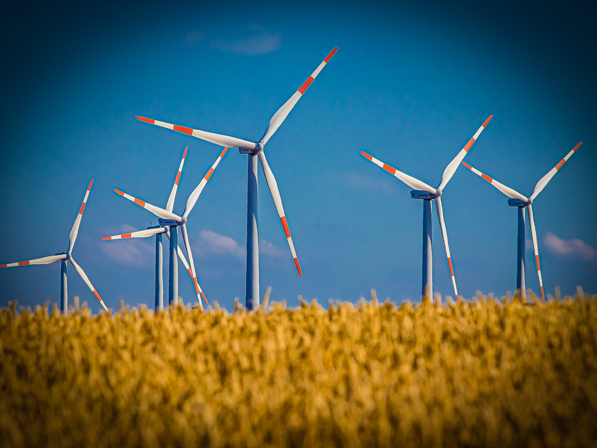 HIGH-PERFORMANCE SYNTHETIC LUBRICANTS FOR WIND POWER